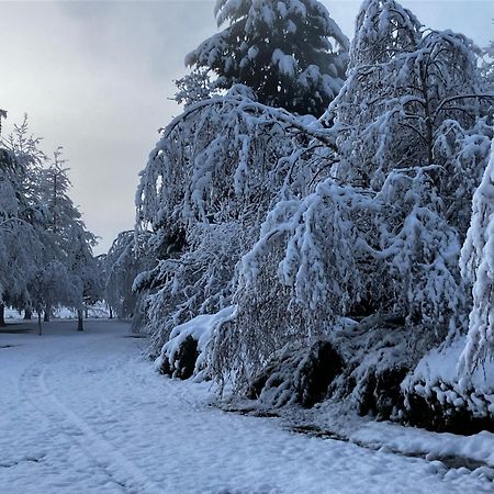 Вілла Woodbank Road Escape Ганмер-Спрінгс Екстер'єр фото